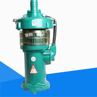 �S�ҹ��� ��������ˮ�� QY15-36-3kw�����ͽ�ʽ��ˮ늱�  ��ˮ�C