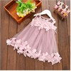 Skirt, colored summer clothing, dress sleevless, 2023, Korean style, tulle, wholesale