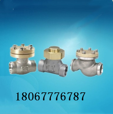 厂家直供DH44Y 低温阀DH61Y低温高压止回阀 焊接止回阀