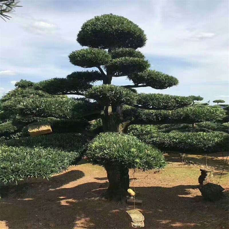 mmexport1538113657884