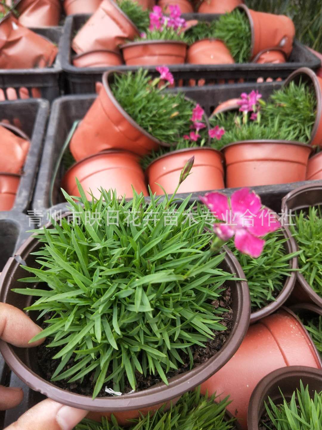 5C}%DDX~9BXM[~2JJ~()%ZT