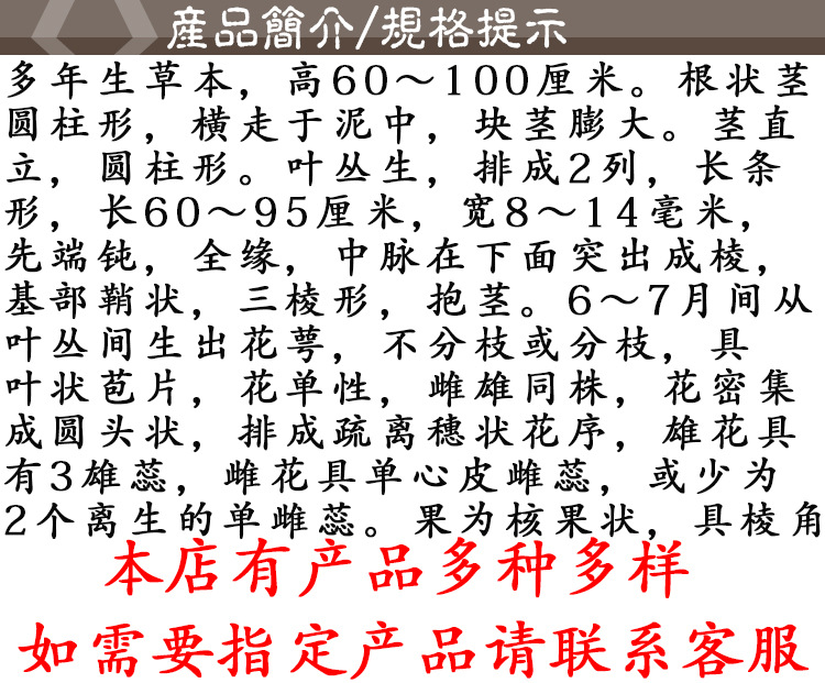 San Leng Slices (Sparganium stoloniferum) — Dried Food-Herb Rhizome for Decoction & Soup quality and texture