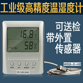 厂家直销工业级国标高精度温湿度计带外置传感器温湿度表WSB-2-H2