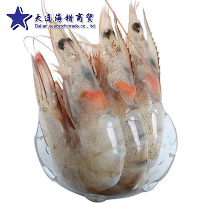 進口厄瓜多爾白蝦  南美蝦   大對蝦 冷凍海蝦 餐飲食材專供