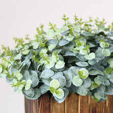 16���ȼ��� ������X�� �����~��ֲ�ﻨ֦��c·���zӰ���Ų廨