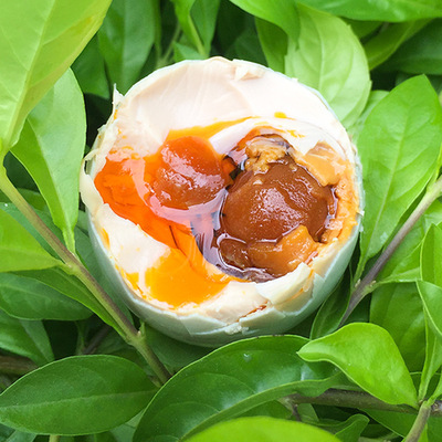 广西海鸭蛋20枚泡沫简装北部湾烤鸭蛋头窝蛋北海聪明蛋咸蛋