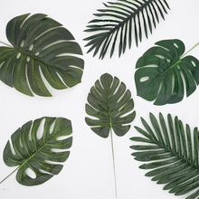 ֧~F~Ƭ廨bGɫֲ廨~