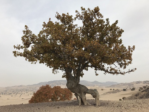 (所有图片均由风痕拍摄)
做最简单的事,最简单的做事,只做最容易成功的事!北京风痕文化传...