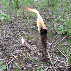 Outdoor survival camping waterproof fire starter 4 pieces, fire tinder, waxed hemp rope, air transport available