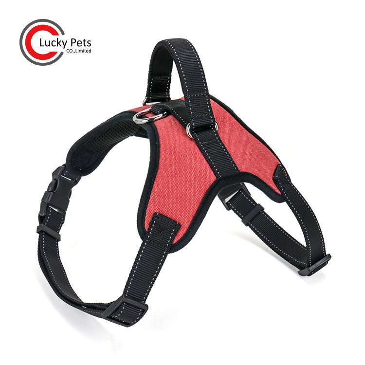 ó¿Ʒ дȮر ţзױ