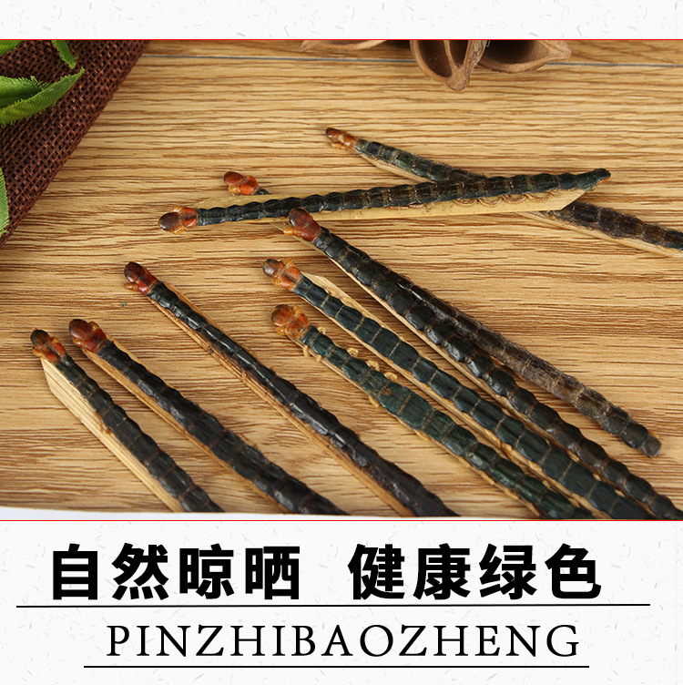 Wu Gong (Scolopendra subspinipes) — Dried Centipede with Bamboo Stick, 18 cm Grade key features