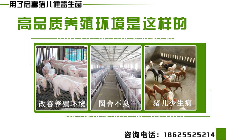 猪儿健益生菌