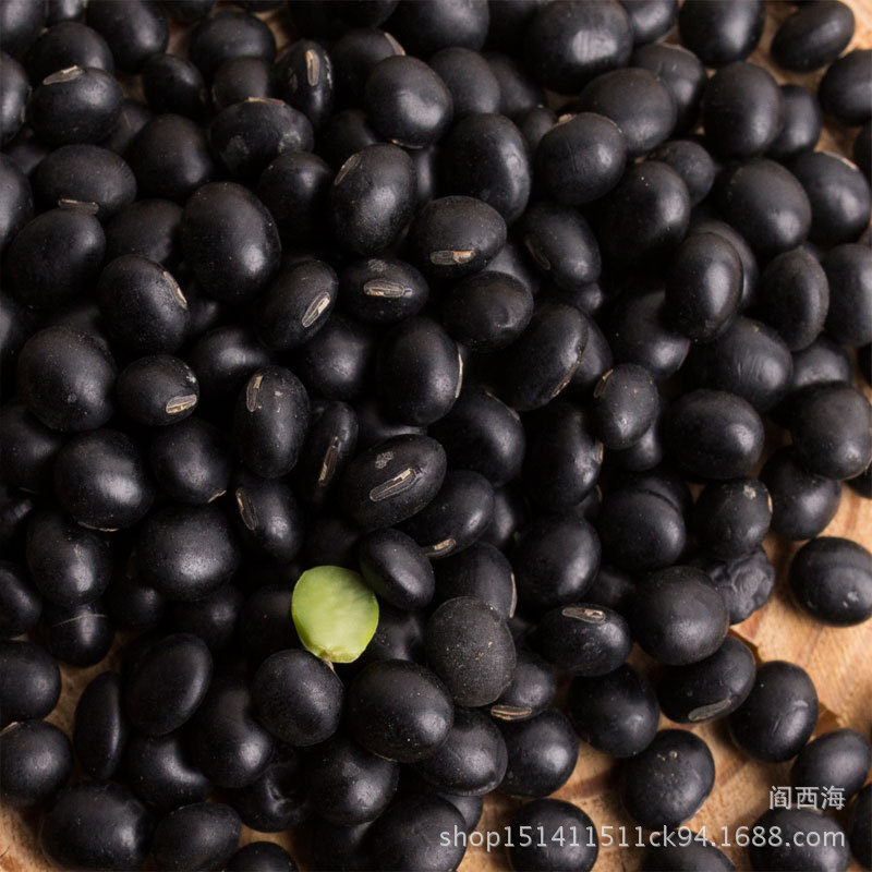 Black Soybeans, Green Kernel (Glycine max) — Northeast China Hei Dou, Food-Herb Legume overview