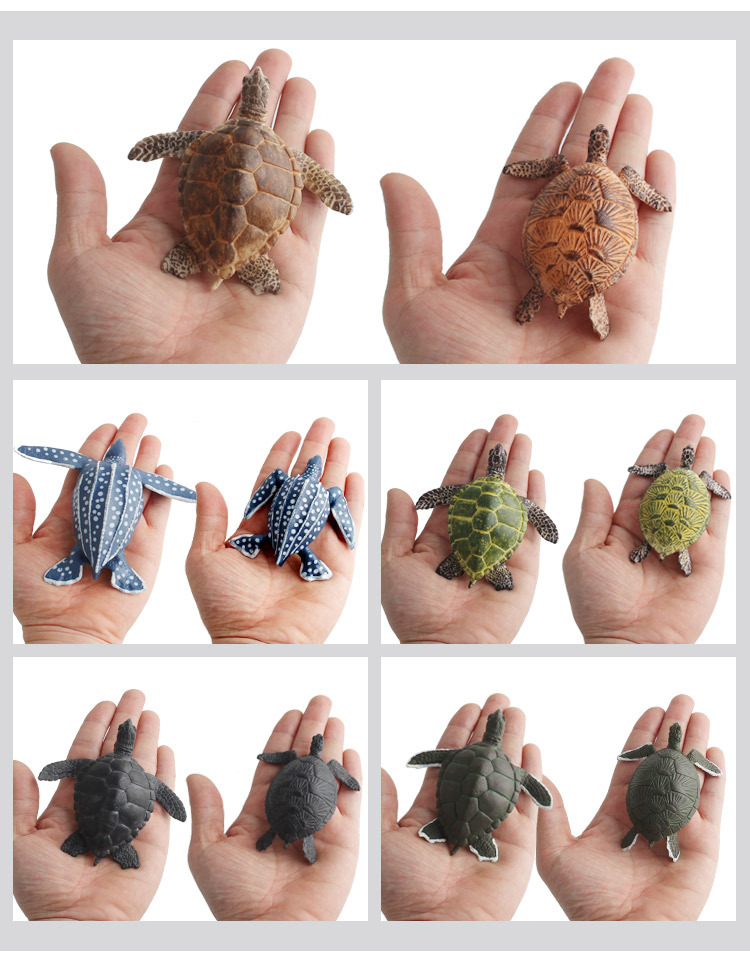 海龟模型_17