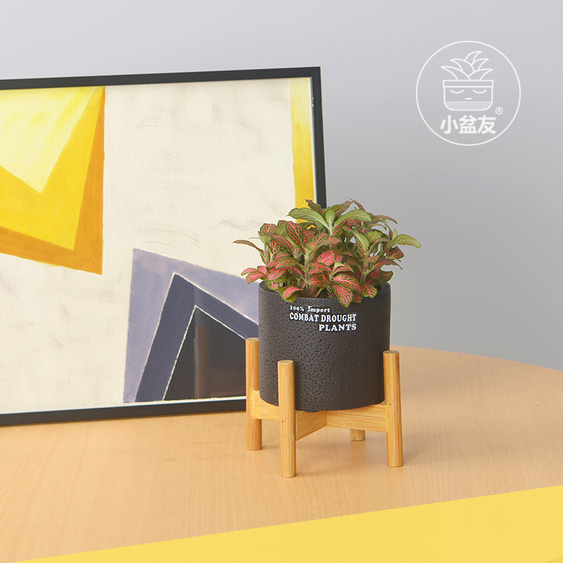 廠家批發桌面創意時尚歐式黑色斑點水泥多肉圓形花盆配十字竹架