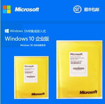 微软正版Windows10企业版嵌入式Win10 ENT EMB中文版系统64位系统