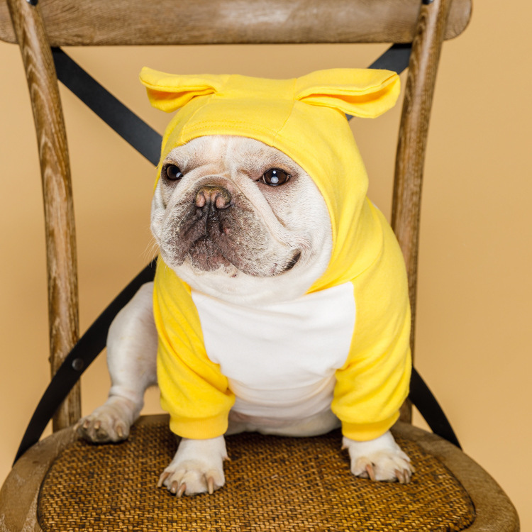 New autumn and winter hooded set pet two-legged clothes small dog teddy dog casual sweater factory direct supply