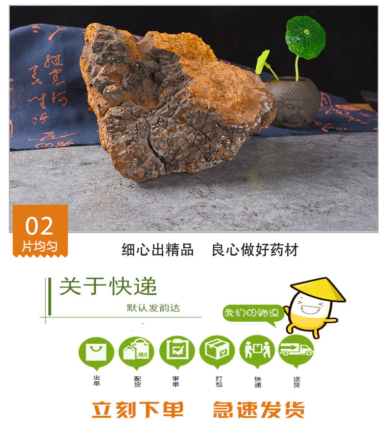 Chaga Mushroom (Inonotus obliquus) — Wild-Harvested Birch Conk from Changbai Mountain, 500g quality and texture
