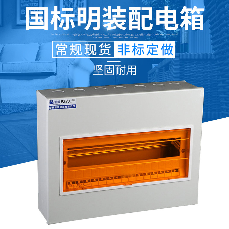 1.0/08空气开关防雨淋盒家用回路墙壁照明塑料国标明装强电配电箱
