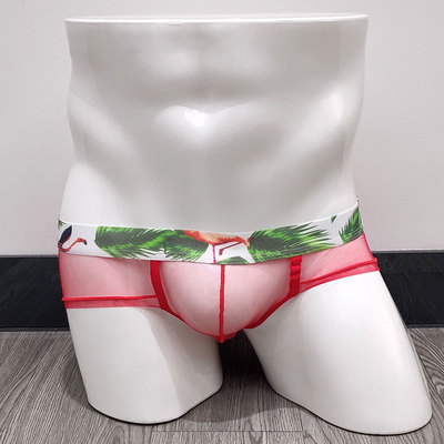 Search with man Underwear Retro Jacobs Light and thin Underwear gay Triangle pants