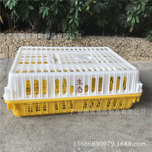 塑料雞籠子 工廠直供 南寧 桂林 柳州 梧州 玉林 百色、、、、