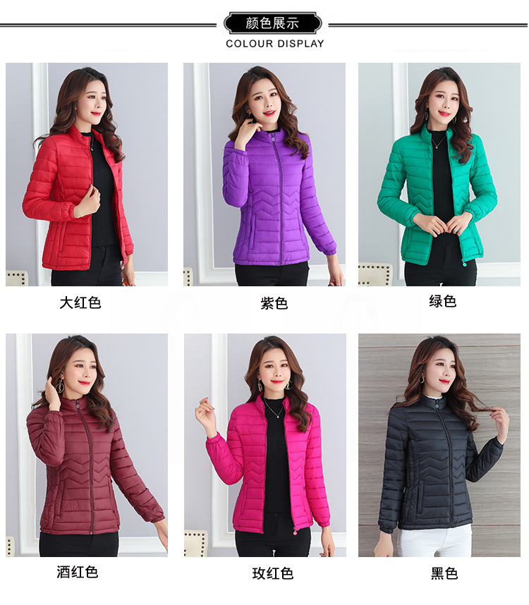 复制_批发棉服女士轻薄短款休闲棉衣修身立领加大.jpg