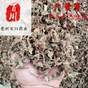 ޽����ș�Ļ����в�ș�V޽�����m 15��֮�ȟo�l����