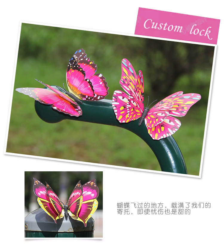 蝴蝶_26.jpg