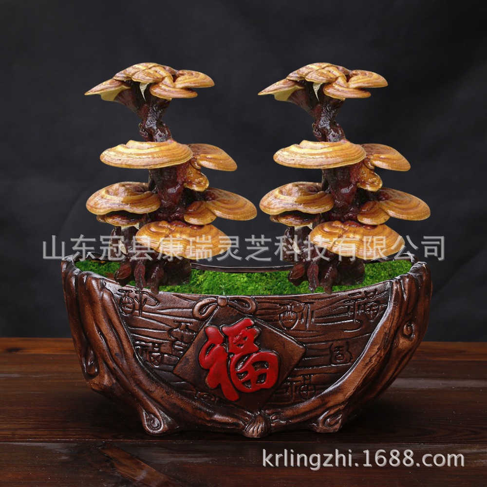 盆景灵芝摆件 灵芝工艺品 灵芝礼品 灵芝盆景 灵芝标本 节日礼品-阿里巴巴