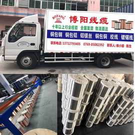 供应0.08~2.05铜包钢线 镀锡铜包钢编织铜包钢无磁铜包钢全国发货
