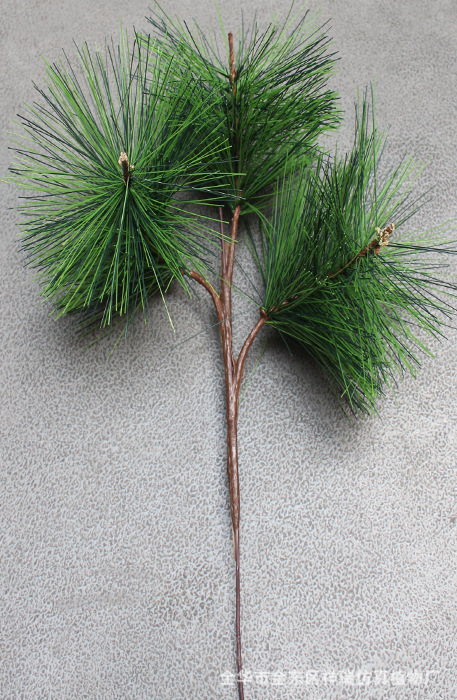 3头松针6.jpg