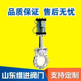 ZSPZ型气动刀形闸 山东公司批发 图片 价格