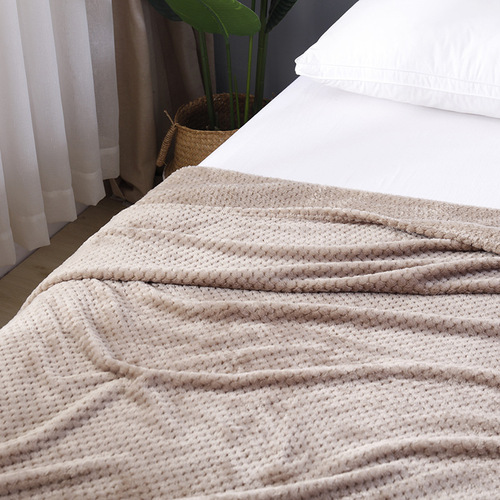 Solid Color Beibei Velvet Mesh Pineapple Plaid Blanket Flannel Sofa Casual Throw Blanket Wholesale Giveaway Gift Blanket