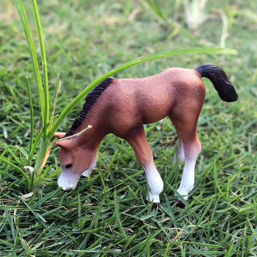 Solid static simulation wild animal model pony horse horse ranch horse model toy ornaments