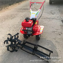 手扶拖拉机开沟松土除草机 汽油旋微耕机 果园除草机价格