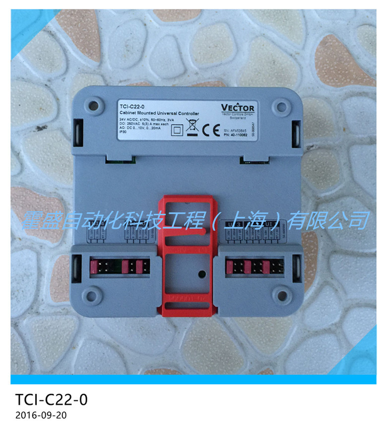 VECTOR伟拓 TCI-C22-0柜装式通用型PID控制器 冷热自动切换温控器