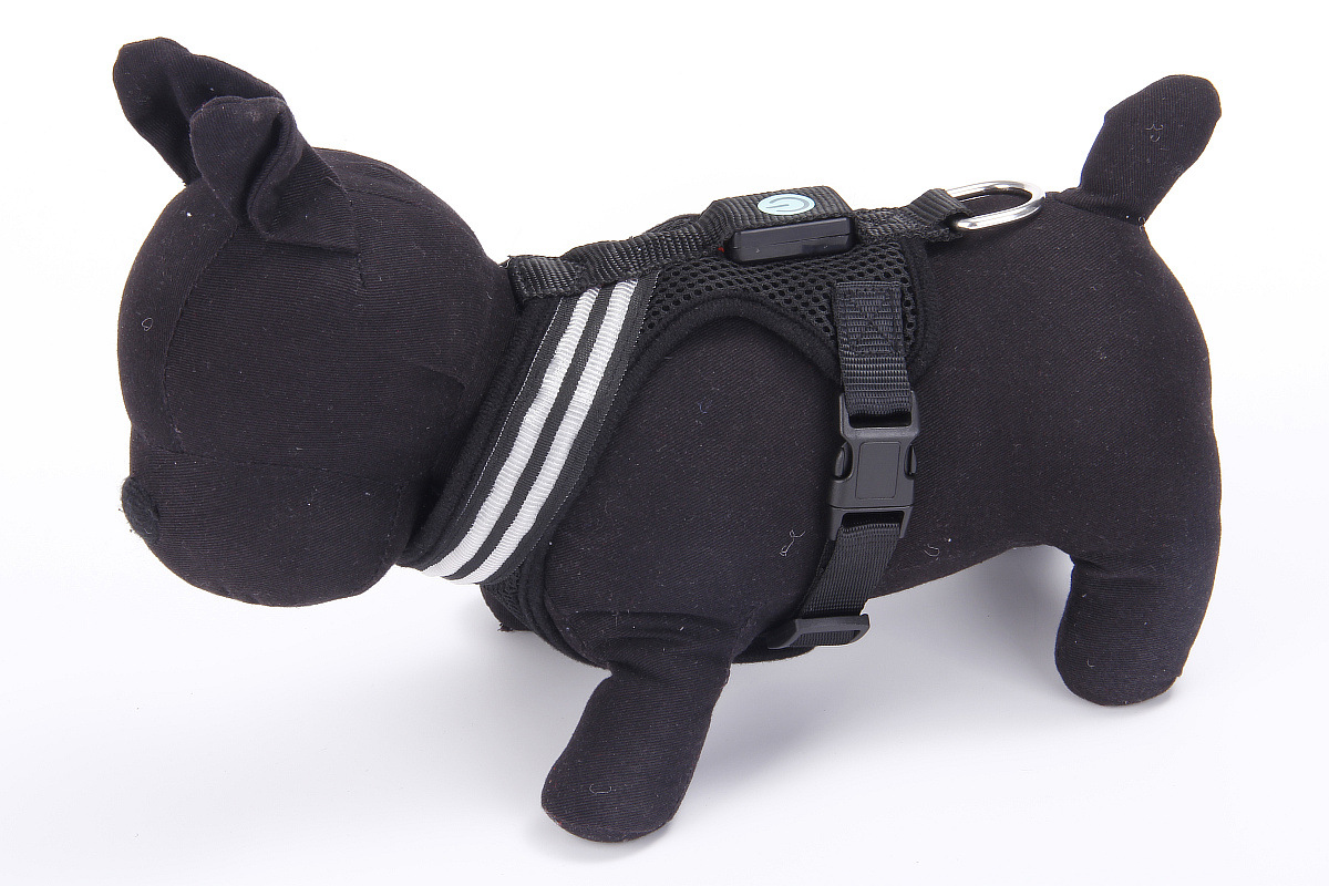 双光纤发光胸背带1200 (22).jpg