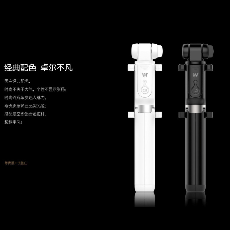 Bâton selfie en Acier inoxydable - Ref 3386265 Image 1