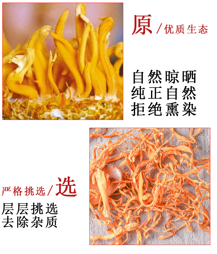 Cordyceps Flower (Cordyceps militaris) — Sulfur-Free Dried Food Herb, Premium Grade quality and texture