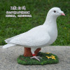 Pigeon simulation, street design resin, suitable for import