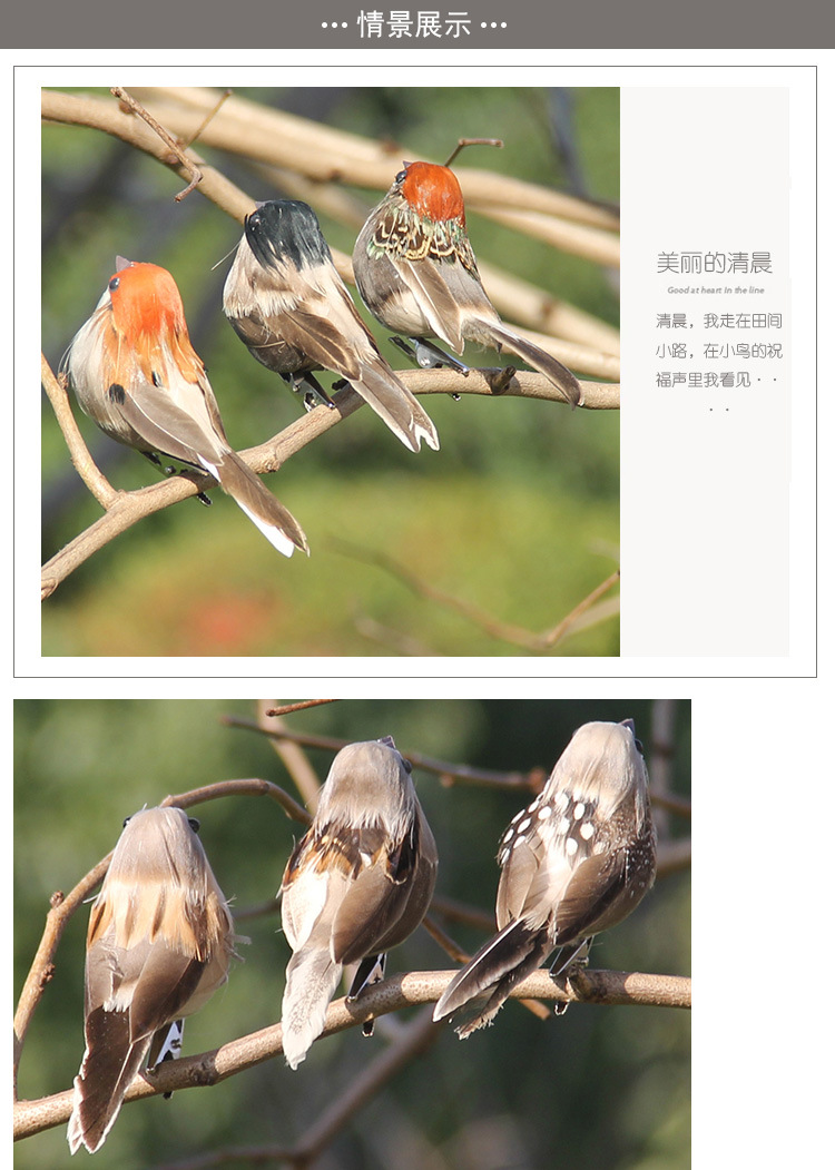 小鸟1_09.jpg