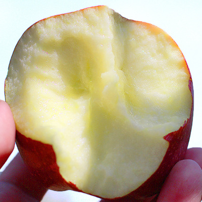 2018新鮮水果天水花牛蘋果 5斤大中小果供選 皮薄肉粉 新鮮現摘