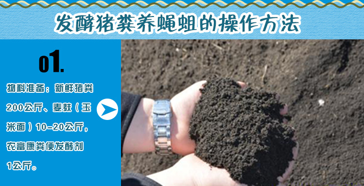 养蝇蛆用法用量
