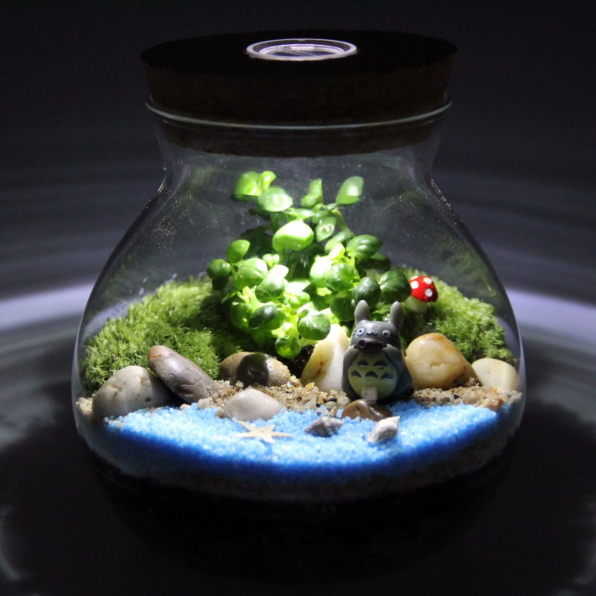 Мосс микро пейзаж костюм креативный подарок украшение бутылка Моха экологическая Бутылка 13,5 пробковая бутылка с подсветкой оптом