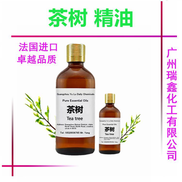 供应 法国 茶树精油 纯单方精油Tea Tree Essential Oi