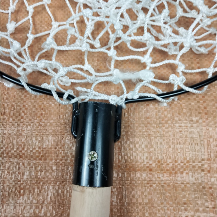 P81111-101959_副本