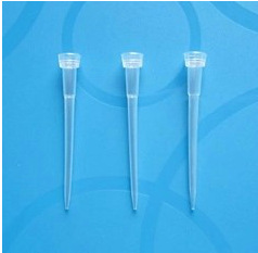 10ul长吸头爱频道夫移液器吸头移液器白枪头1000支/包