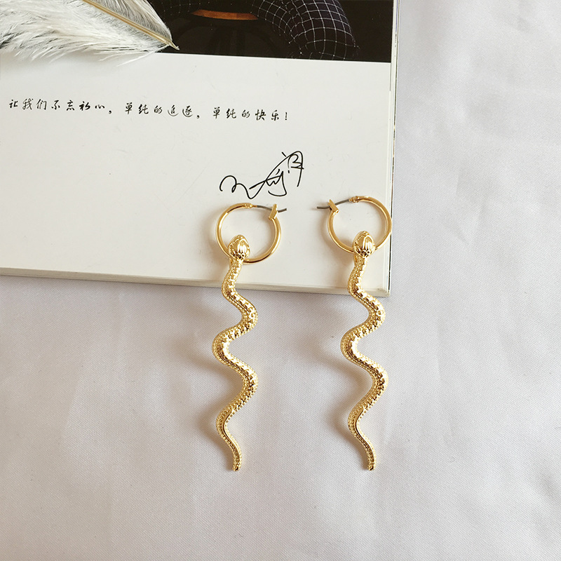 Nouvelles Boucles D&#39;oreilles Longues En Forme De Serpent display picture 5