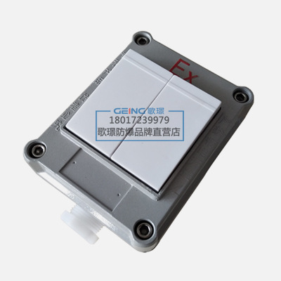 86型2双开单双控10A/220V防爆照明墙壁开关暗装双开防爆面板开关