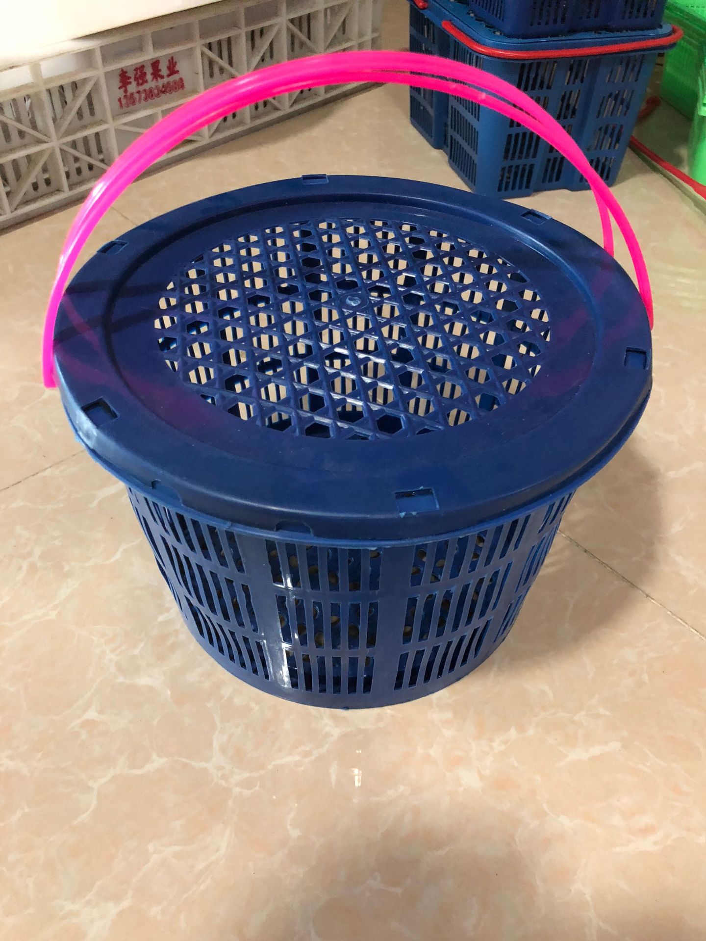 杨梅篮 水果篮子 葡萄蓝